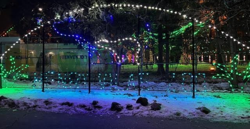 <strong>Henry Vilas Zoo de Madison iluminado con un millón de luces navideñas este año</strong>